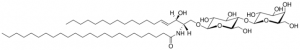 C24 Lactosyl() Ceramide (d18:1/24:0) 860577P-5MG