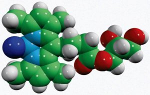 C4 TopFluor� MG 810293P-1MG