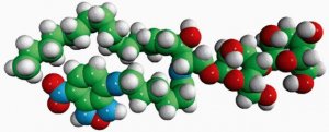 C6-NBD Lactosyl Ceramide 810226P-250UG