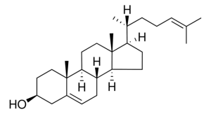 desmosterol 