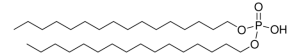 Dicetyl phosphate 850042P-1G