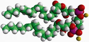 Dilyso Heart CA 850082P-10MG