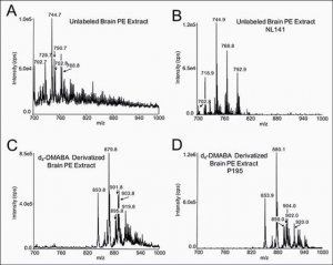 DMABA-d4 NHS Ester 640004P-1MG