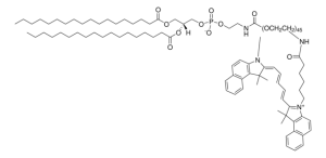 DSPE PEG(2000)-N-Cy5.5 880154C-1MG