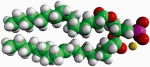 Egg PA 840101C-25MG