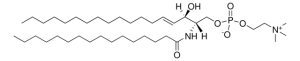 Egg SM 