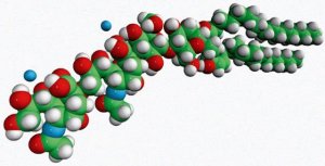 Ganglioside GD3 (Bovine Milk) 