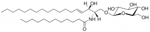 Glucosyl () C12 Ceramide LM2511-1EA