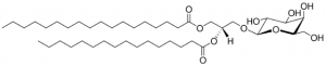 Hydrogenated MGDG 