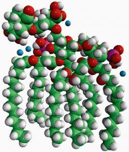 Kdo2-Lipid A (KLA) 699500P-1MG