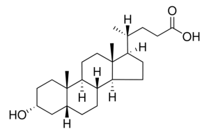 Lithocholic acid 700218P-10MG