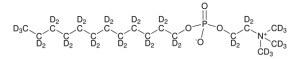 MAPCHO�-12-d38 