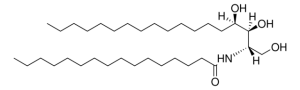N-16:0 Phytosphingosine 