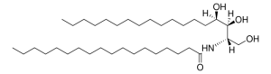 N-18:0 Phytosphingosine 