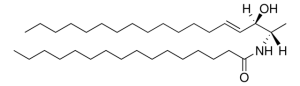 N-C16-deoxysphingosine 860456P-1MG