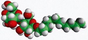 N-Dodecyl-Beta-D-Maltoside (DDM, 85%) 250520P-1G