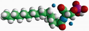 N-P Serine PA 800715P-1MG
