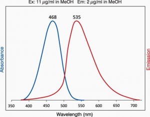 NBD Sphingosine-1-Phosphate 
