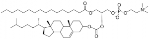 PChcPC 880345P-25MG