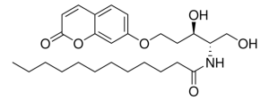 RBM14C12 860855P-1MG