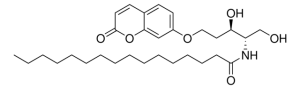 RBM14C16 860856P-1MG