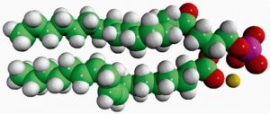 Soy PA 840074C-25MG