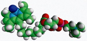 TopFluor� Lyso PC 810284P-1MG