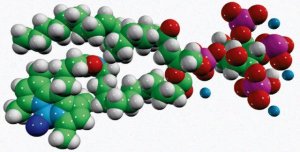 TopFluor� PI(3,4,5)P3 810189P-50UG