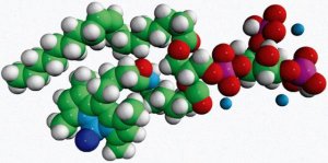 TopFluor� PI(3,5)P2 810186P-50UG