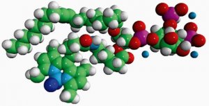 TopFluor� PI(4,5)P2 810184P-50UG