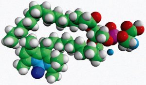 TopFluor� PS 810283C-1MG