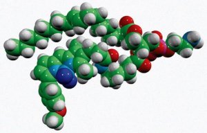TopFluor� TMR PE 810241C-1MG