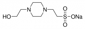 HEPES sodium salt 