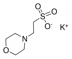 MES potassium salt 