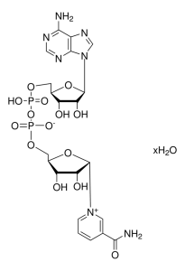 -Nicotinamide adenine dinucleotide hydrate 