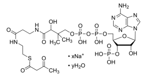 Acetoacetyl coenzyme A sodium salt hydrate 