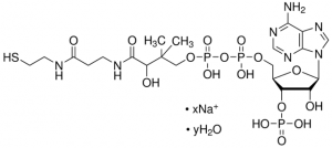 Coenzyme A sodium salt hydrate 