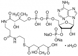 DL-3-Hydroxy-3-methylglutaryl coenzyme A sodium salt hydrate 