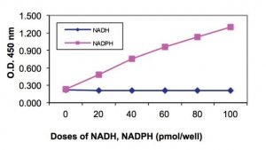 NADP/NADPH Quantitation Kit MAK038-1KT