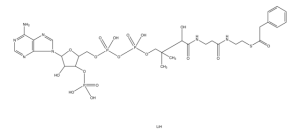 Phenylacetyl coenzyme A lithium salt 