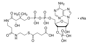 Succinyl coenzyme A sodium salt 