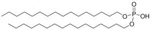 Dihexadecyl phosphate 