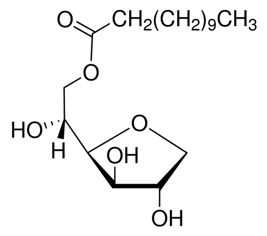 Span� 20 