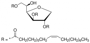 Span� 85 