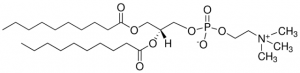1,2-Didecanoyl-sn-glycero-3-phosphocholine 