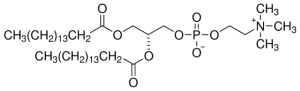 1,2-Dipalmitoyl-sn-glycero-3-phosphocholine 