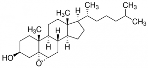 Cholesterol 5,6-epoxide 