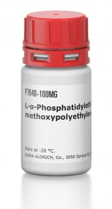 L--Phosphatidylethanolamine, distearoyl methoxypolyethylene glycol conjugate 