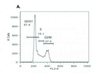 Cell Cycle Analysis Kit MAK344-1KT