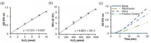 Enolase Activity Assay Kit MAK178-1KT